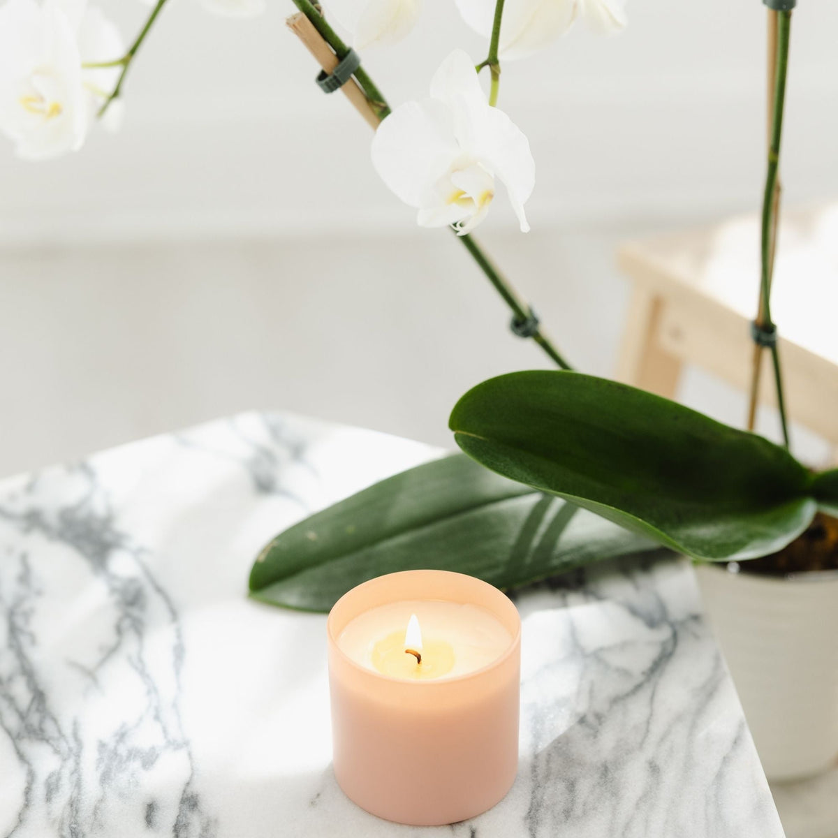 Lavender + Bergamot Dignity Series Soy Candle - Calyan Wax Co.